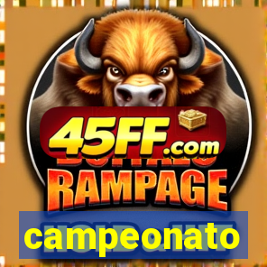 campeonato brasileiro standings